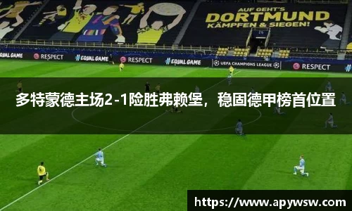 多特蒙德主场2-1险胜弗赖堡，稳固德甲榜首位置